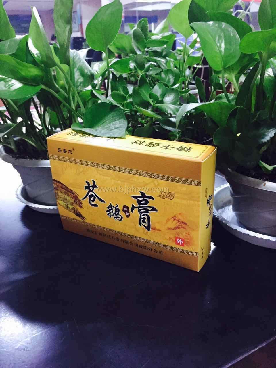 蒼鵝鼻炎膏 祖?zhèn)髅胤?一次見效