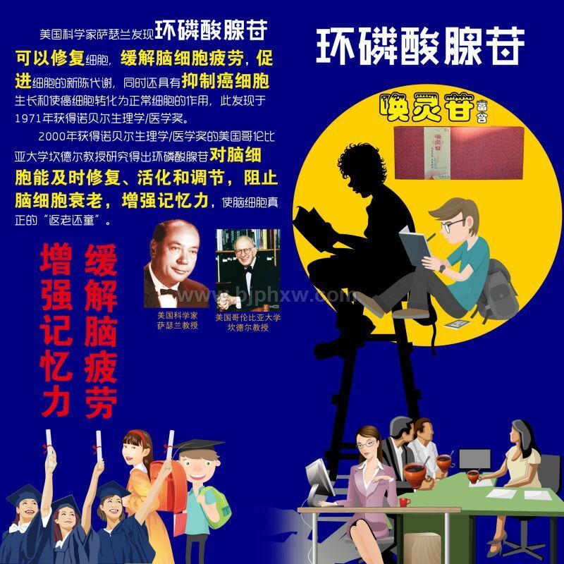 喚靈苷--過(guò)目不忘，元來(lái)如此