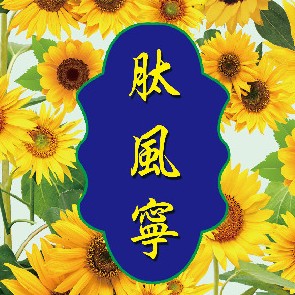 肽風(fēng)寧