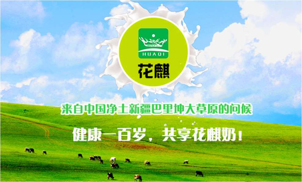 新疆駱駝奶粉