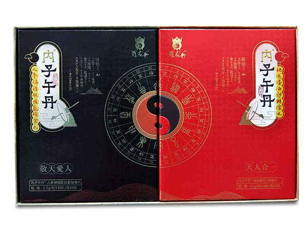 內子午丹